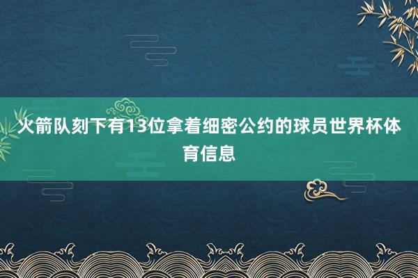 火箭队刻下有13位拿着细密公约的球员世界杯体育信息