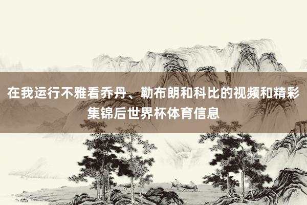 在我运行不雅看乔丹、勒布朗和科比的视频和精彩集锦后世界杯体育信息