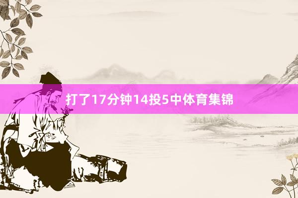打了17分钟14投5中体育集锦