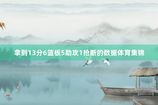 拿到13分6篮板5助攻1抢断的数据体育集锦