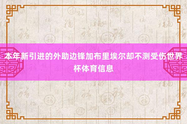 本年新引进的外助边锋加布里埃尔却不测受伤世界杯体育信息