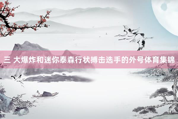 三 大爆炸和迷你泰森 行状搏击选手的外号体育集锦
