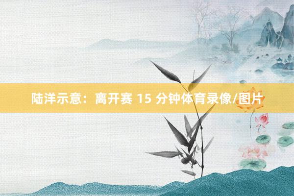 陆洋示意：离开赛 15 分钟体育录像/图片