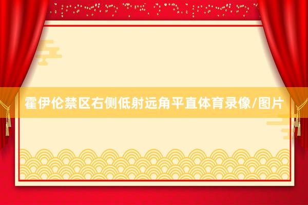 霍伊伦禁区右侧低射远角平直体育录像/图片