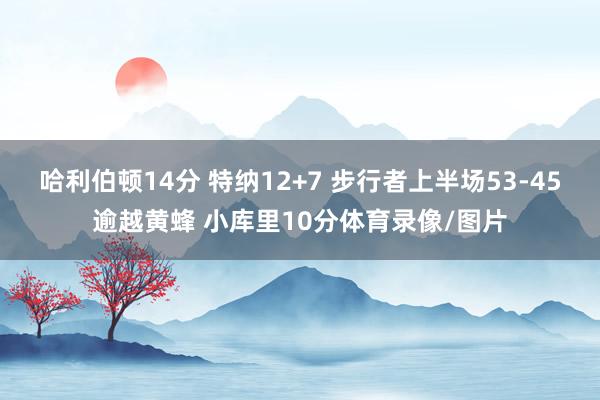 哈利伯顿14分 特纳12+7 步行者上半场53-45逾越黄蜂 小库里10分体育录像/图片