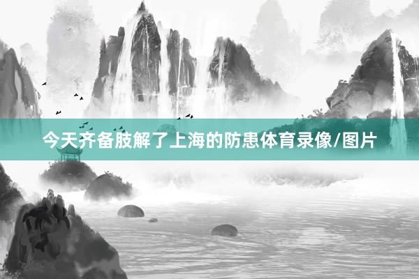 今天齐备肢解了上海的防患体育录像/图片