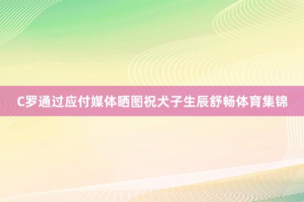 C罗通过应付媒体晒图祝犬子生辰舒畅体育集锦