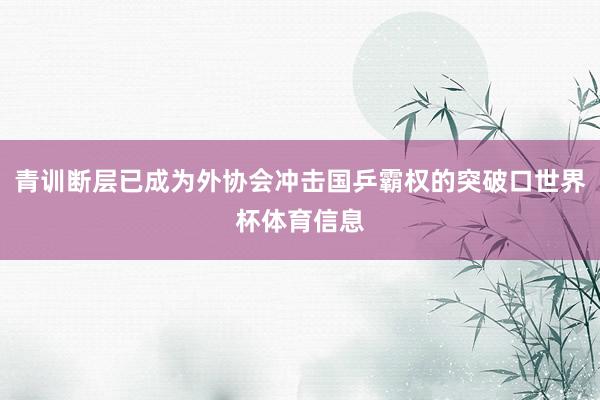 青训断层已成为外协会冲击国乒霸权的突破口世界杯体育信息