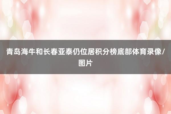 青岛海牛和长春亚泰仍位居积分榜底部体育录像/图片