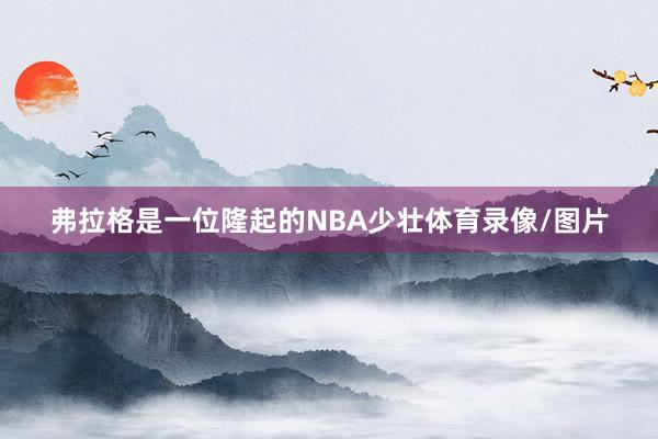 弗拉格是一位隆起的NBA少壮体育录像/图片