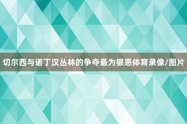 切尔西与诺丁汉丛林的争夺最为狠恶体育录像/图片