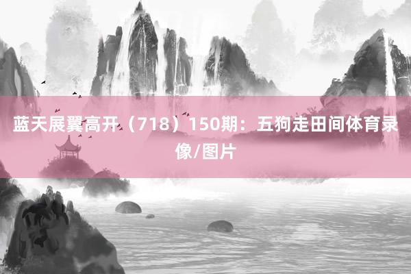 蓝天展翼高开（718）　　150期：五狗走田间体育录像/图片