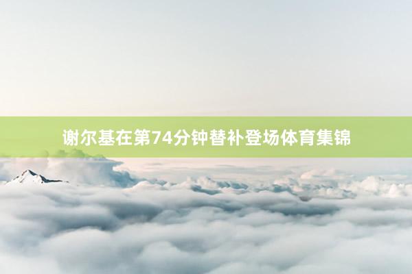 谢尔基在第74分钟替补登场体育集锦