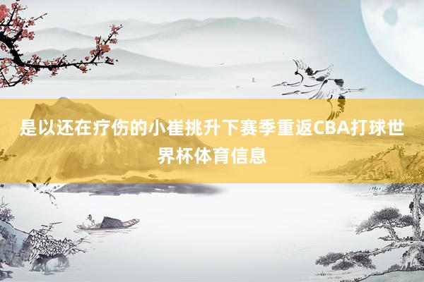 是以还在疗伤的小崔挑升下赛季重返CBA打球世界杯体育信息