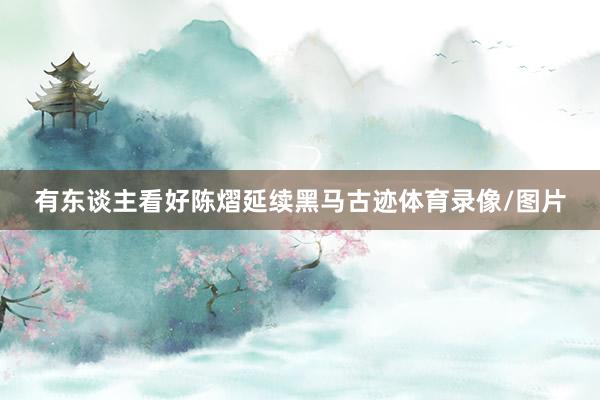 有东谈主看好陈熠延续黑马古迹体育录像/图片