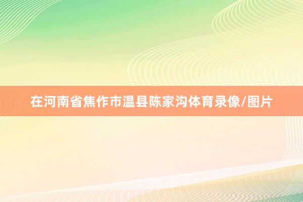 在河南省焦作市温县陈家沟体育录像/图片