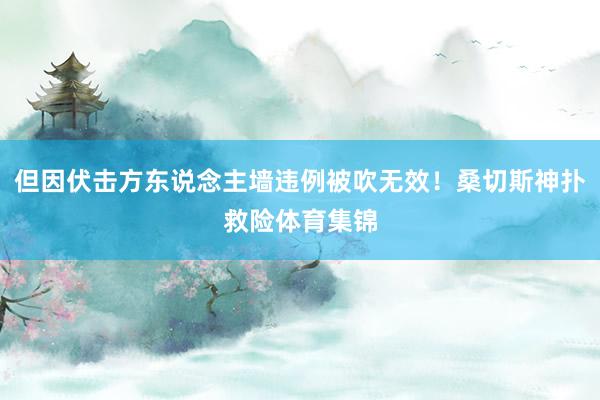 但因伏击方东说念主墙违例被吹无效！桑切斯神扑救险体育集锦