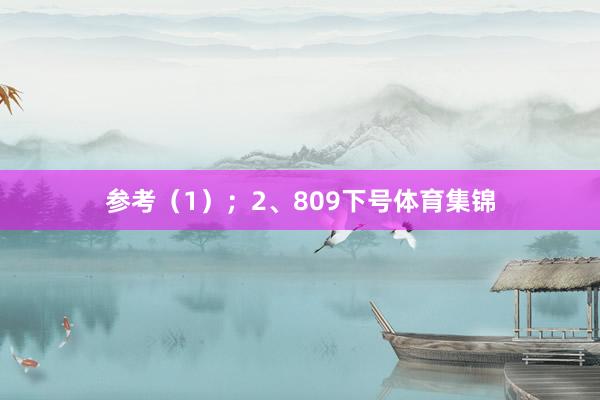 参考（1）；　　2、809下号体育集锦