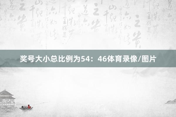 奖号大小总比例为54：46体育录像/图片