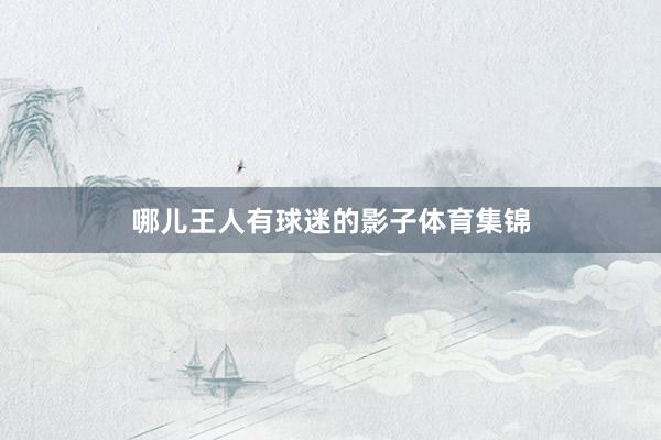 哪儿王人有球迷的影子体育集锦