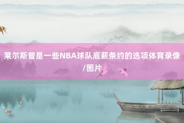 莱尔斯曾是一些NBA球队底薪条约的选项体育录像/图片