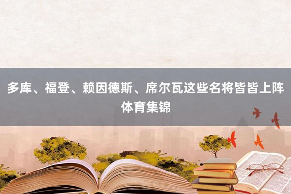 多库、福登、赖因德斯、席尔瓦这些名将皆皆上阵体育集锦