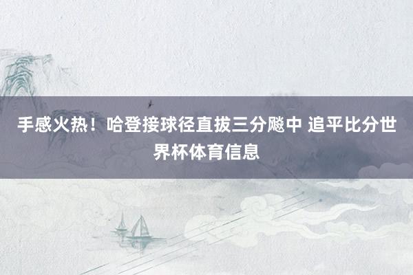 手感火热！哈登接球径直拔三分飚中 追平比分世界杯体育信息