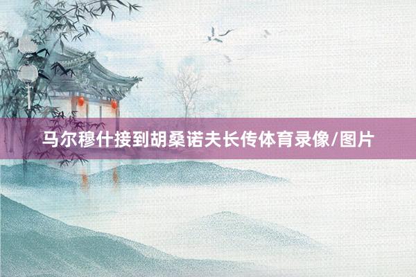 马尔穆什接到胡桑诺夫长传体育录像/图片