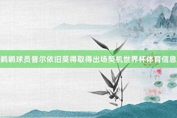 鹈鹕球员普尔依旧莫得取得出场契机世界杯体育信息