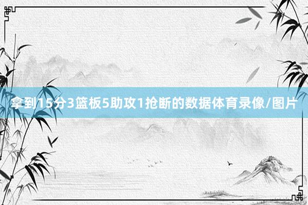 拿到15分3篮板5助攻1抢断的数据体育录像/图片