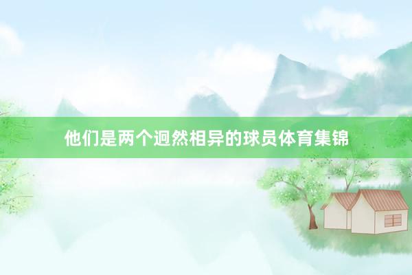 他们是两个迥然相异的球员体育集锦