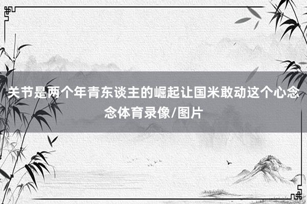 关节是两个年青东谈主的崛起让国米敢动这个心念念体育录像/图片
