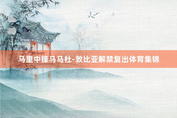 马里中锋马马杜-敦比亚解禁复出体育集锦