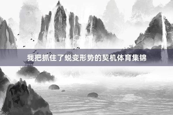 我把抓住了蜕变形势的契机体育集锦