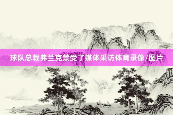 球队总裁弗兰克禁受了媒体采访体育录像/图片