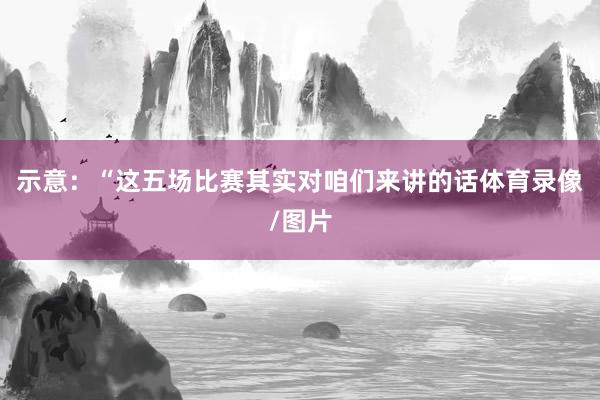 示意：“这五场比赛其实对咱们来讲的话体育录像/图片