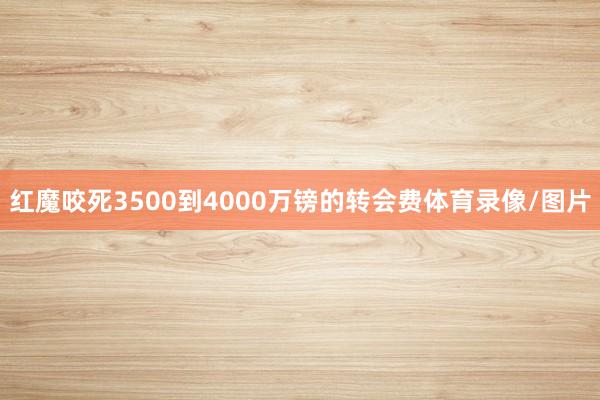 红魔咬死3500到4000万镑的转会费体育录像/图片