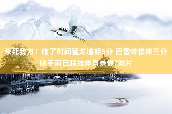 杀死我方！临了时间猛龙逾期5分 巴雷特接球三分脱手前已踩线体育录像/图片