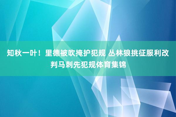 知秋一叶！里德被吹掩护犯规 丛林狼挑征服利改判马刺先犯规体育集锦