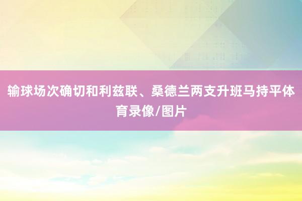 输球场次确切和利兹联、桑德兰两支升班马持平体育录像/图片
