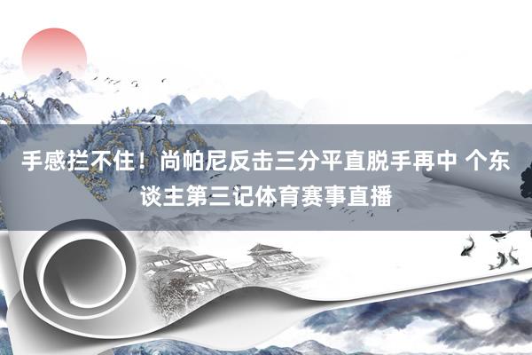 手感拦不住!尚帕尼反击三分平直脱手再中 个东谈主第三记体育赛事直播