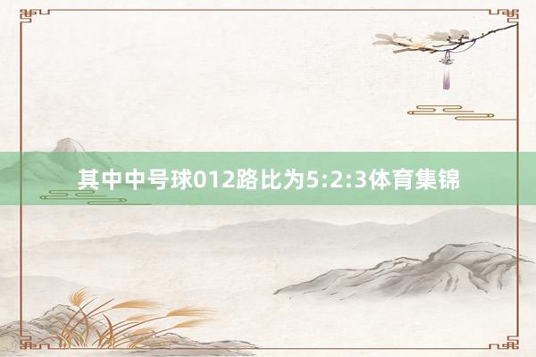 其中中号球012路比为5:2:3体育集锦