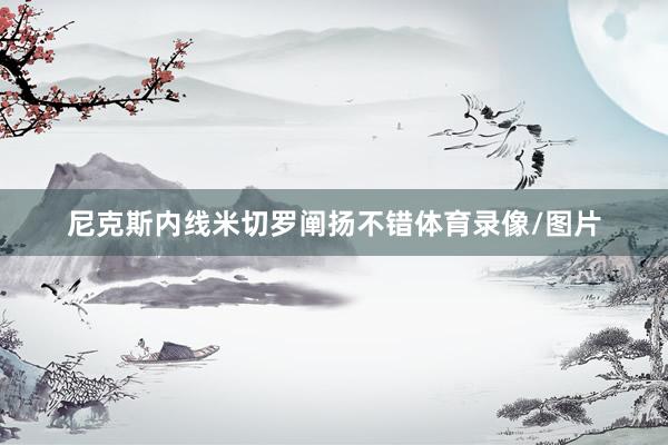 尼克斯内线米切罗阐扬不错体育录像/图片