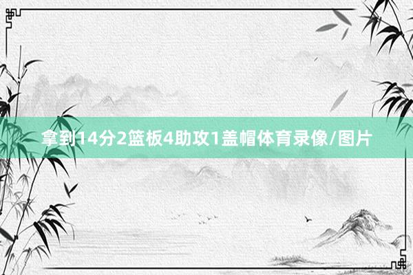 拿到14分2篮板4助攻1盖帽体育录像/图片