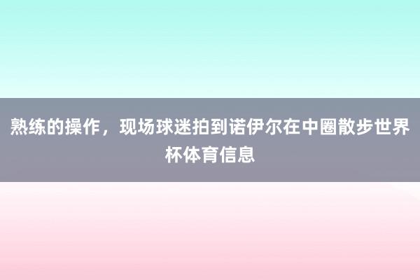 熟练的操作,现场球迷拍到诺伊尔在中圈散步世界杯体育信息