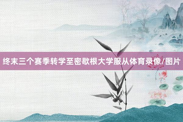 终末三个赛季转学至密歇根大学服从体育录像/图片